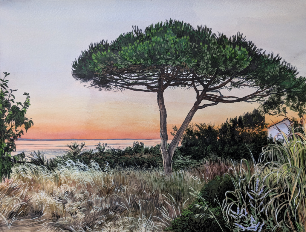 sunset